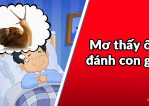 mơ thấy ốc đánh con gì