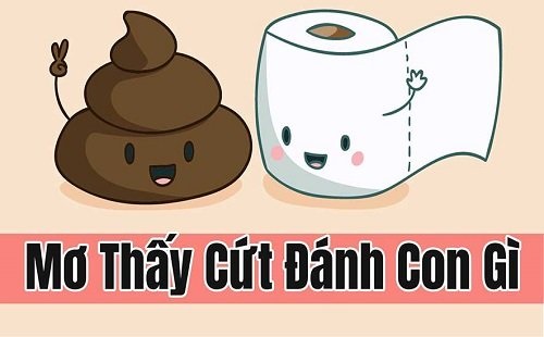 Nên đánh con số gì với giấc mơ thấy cứt người?